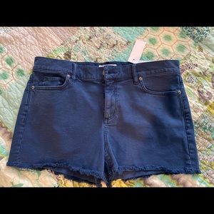 Ann Taylor Loft shorts NWT size 6 blue